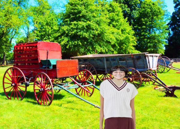 2022-08-14_Henry Antes Plantation_Carriage-10001.jpg