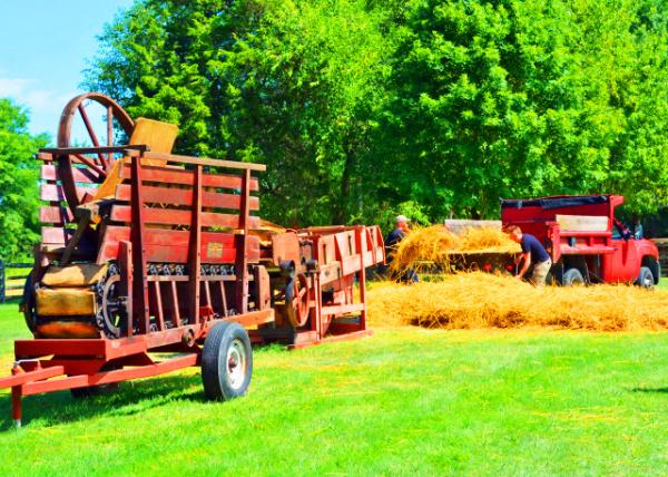 2022-08-14_Henry Antes Plantation_Grain Thresher_Experience Yesterday Today0001.JPG