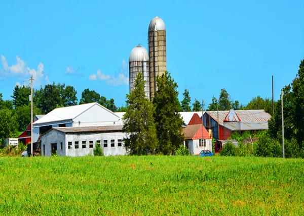 2022-08-14_Merrill Mest @ 3059 Keyser Rd (1797)0001.JPG