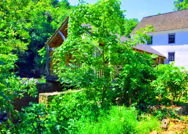 2022-08-14_Sunrise Mill_Mill Race under Sawmill0001.JPG