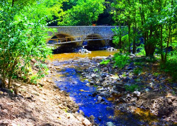 2022-08-14_Sunrise Mill_Stone Arch Bridge over Swamp Creek0001.JPG
