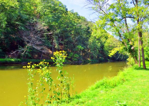 2022-08-14_Sunrise Mill_Swamp Creek0001.JPG