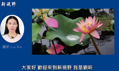 1764861024764971.png IMG_5124.png