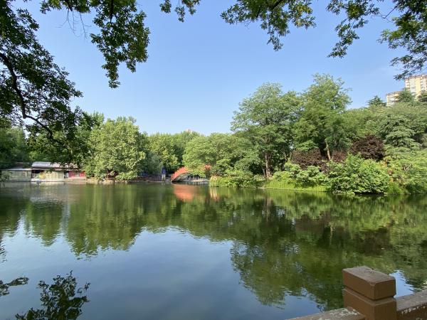 1764865373515159.jpg 信阳IMG_1778.JPG