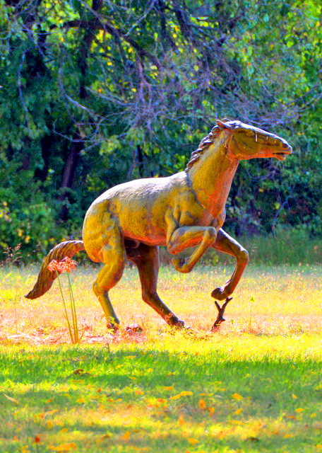 2022-08-20_Penrose-Strawbridge Farm_Horse Statue0001.JPG