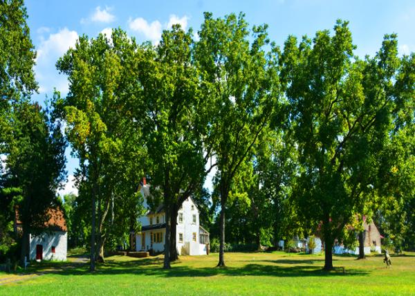 2022-08-20_Penrose-Strawbridge Farm0001.JPG