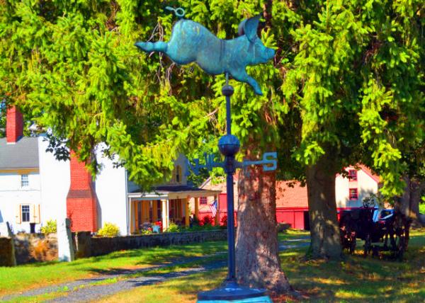 2022-08-20_Penrose-Strawbridge Farm_Sign0001.JPG