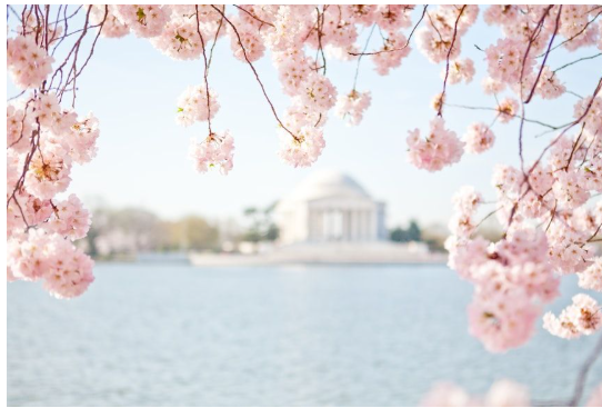 1764954599252866.png Screenshot 2025-12-05 12.09.47 PM.png