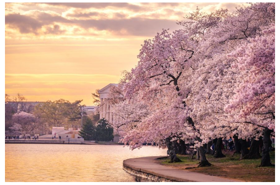 1764954647957219.png Screenshot 2025-12-05 12.10.36 PM.png