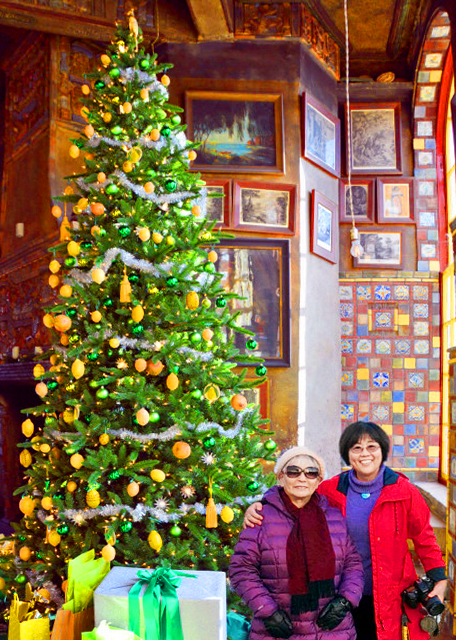 1764963123344000.jpg 2021-11-23_Citrus Christmas Tree-1M0001.JPG