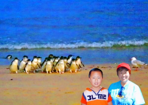 2010-01-01_Fairy Penguin Parade-20001.JPG