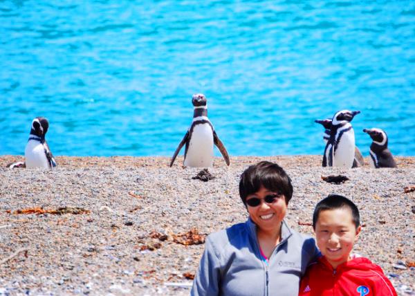 2013-01-01_ Magallenic Penguins-20001.JPG