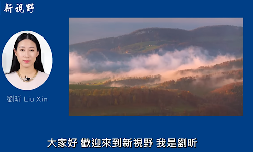 1765017982354124.png IMG_5479.png