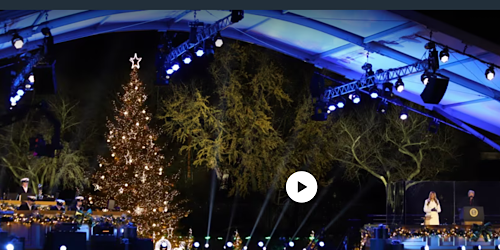 1765018532324389.png IMG_5477.png