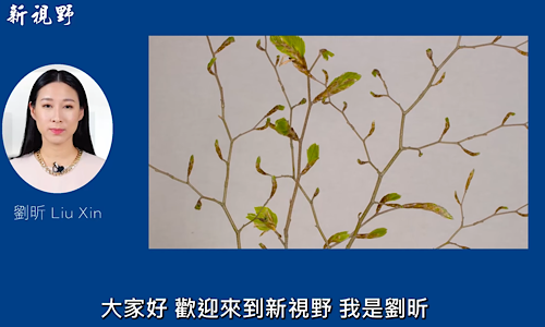 1765056810851482.png IMG_5648.png