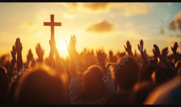 1765080048450491.png 218.png