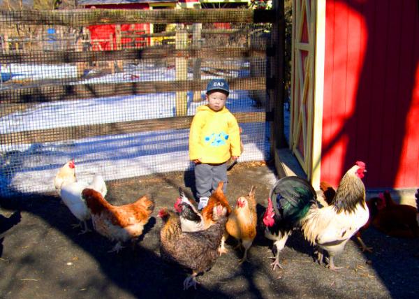 2005-02-05_Philly Zoo-10001.JPG