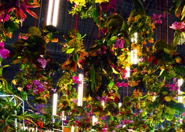 2023-03-05_Entrance Garden_A Canopy of Florals-10001.JPG