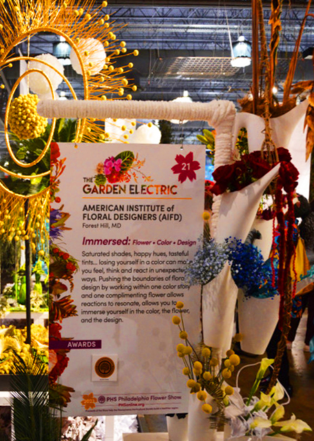 2023-03-05_Immersed Flower-Color-Design0001.JPG