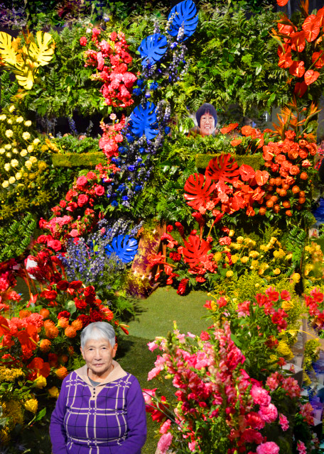2023-03-05_A Wall of Orange Blooms-10001.JPG