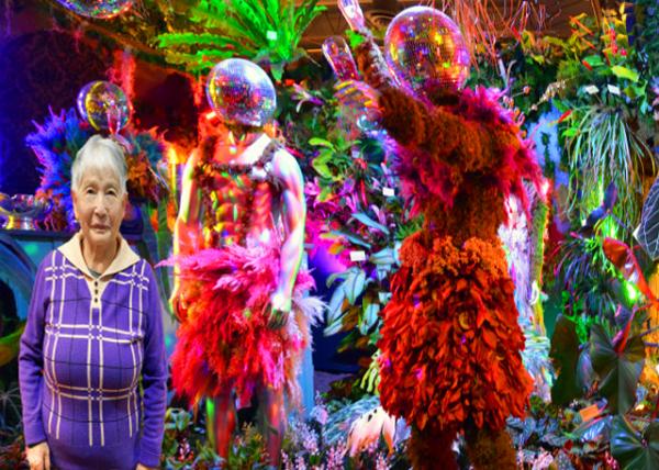 2023-03-05_Studio Exotica in Uncommon Plants from Aroids to Orchids-10001.JPG