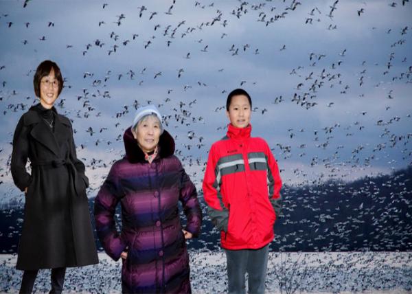 2015-03-21_Snow Geese @ Middle Creek0001.JPG