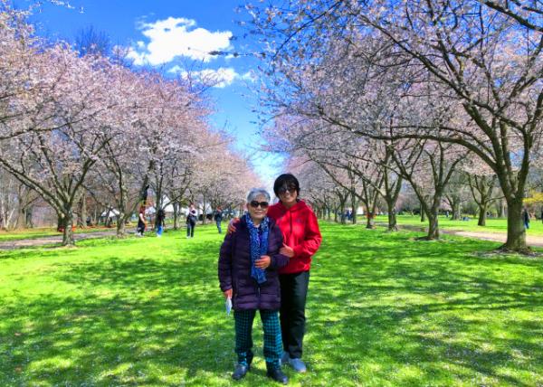 2022-04-08_Centennial Arboretum_Cherry All��e-10001.JPG