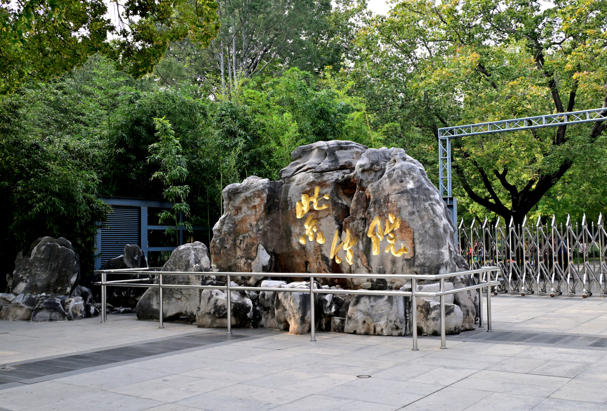 20251209231727_76082.jpg DSC_2434.JPG