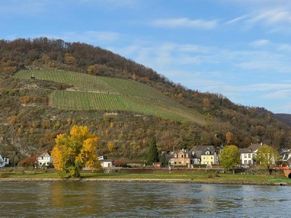 1765383097344467.jpg IMG_1579A.jpg