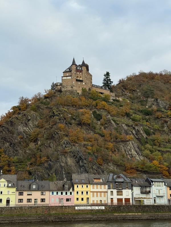 1765383098951703.jpg IMG_1581A.jpg