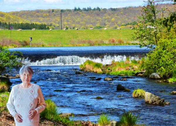 2023-05-06_Mountain Cascading Waterfalls-10001.JPG