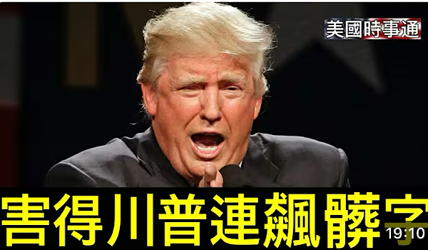 1765413993959323.png IMG_6991.png