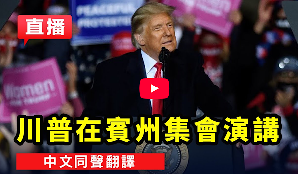 1765422468307001.png IMG_6988.png