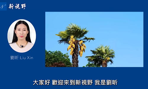 1765422590430157.png IMG_7053.png