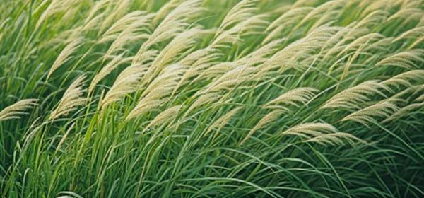 1765423995267946.png image.png