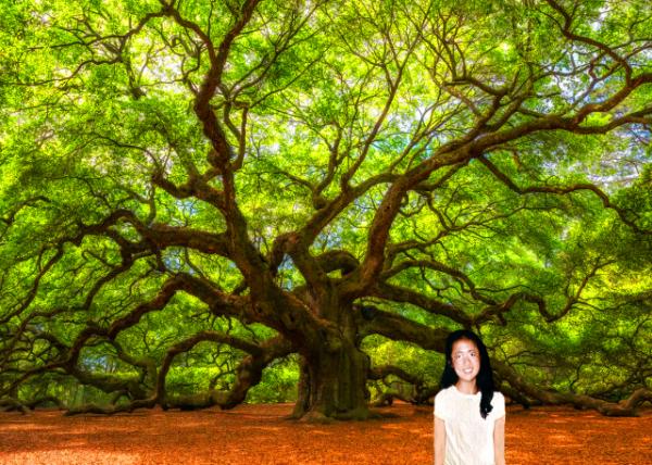 1993-05-22_Angel Oak Tree0001.JPG