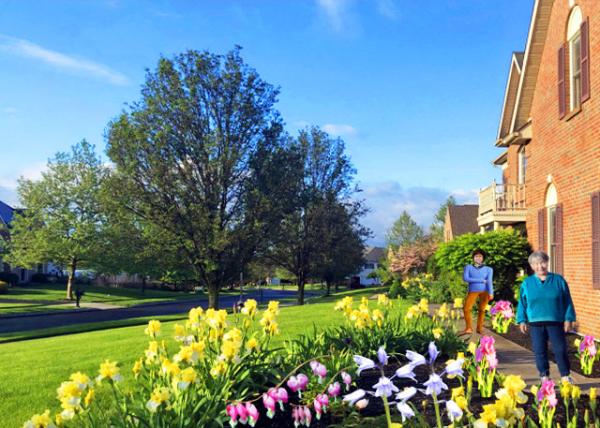 2020-05-23_Front Yard_M0001.JPG