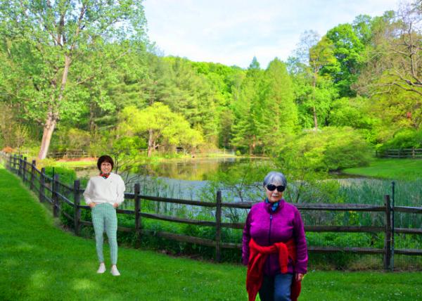 2020-05-20_Pond of Jenkins Arboretum & Gardens-30001.JPG