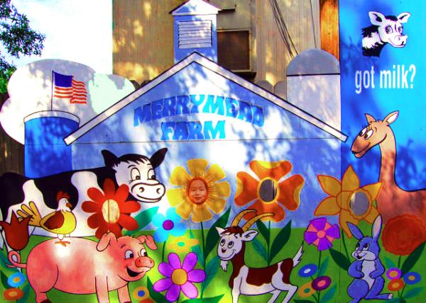 2007-08-26_Merrymead Farm.JPG