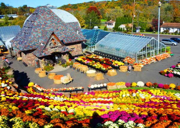 2023-10-23_Landscaped Greenhouse-20001.JPG