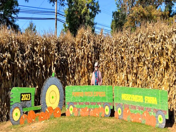 2023-10-23_Merrymead Farm_Bucolic Venue0001.JPG