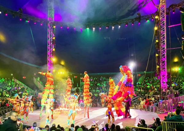 2023-11-18_Caribbean Carnival Acts & Circus Clowns-20001.JPG