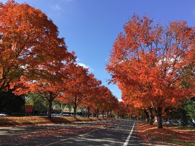 1765519999437658.jpg 6.jpg