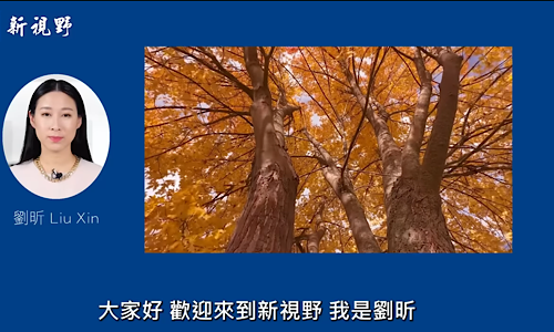 1765600563750861.png IMG_7625.png