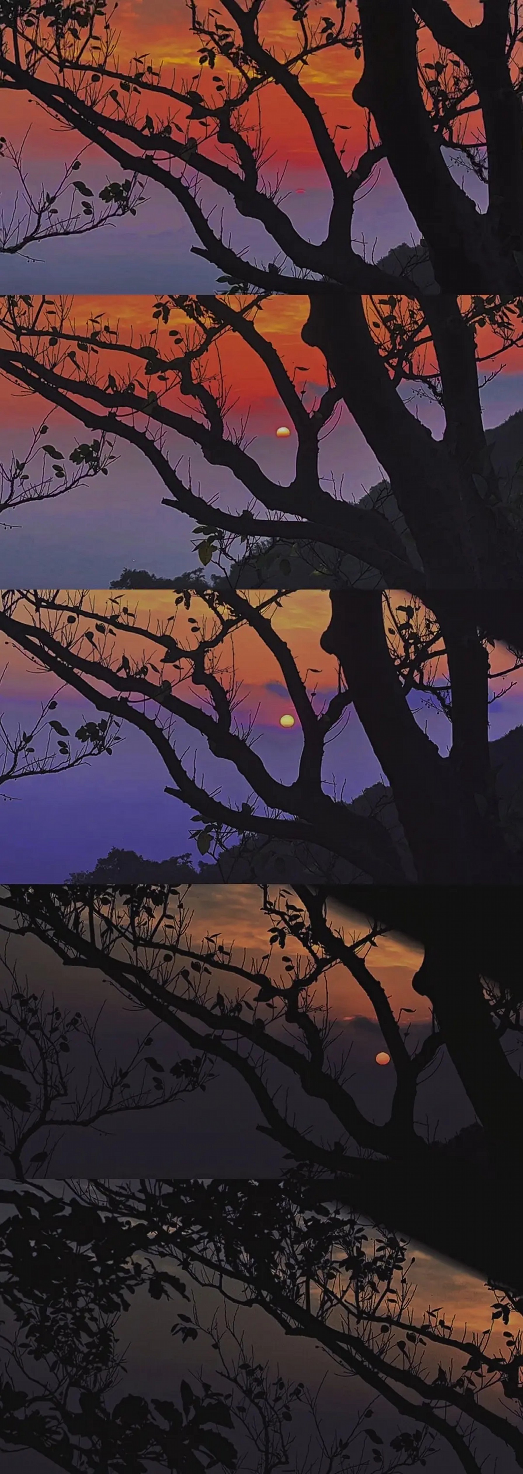 20251213035329_43901.jpg 南京紫金山.jpg