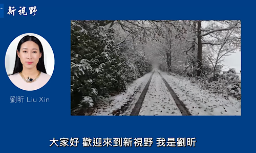 1765642900456595.png IMG_7690.png