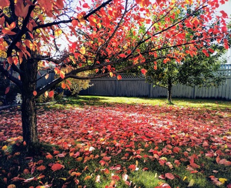 1765666000577596.jpeg image.jpeg