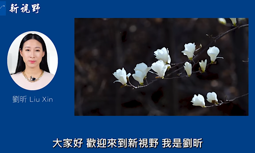 1765743467781266.png IMG_8137.png