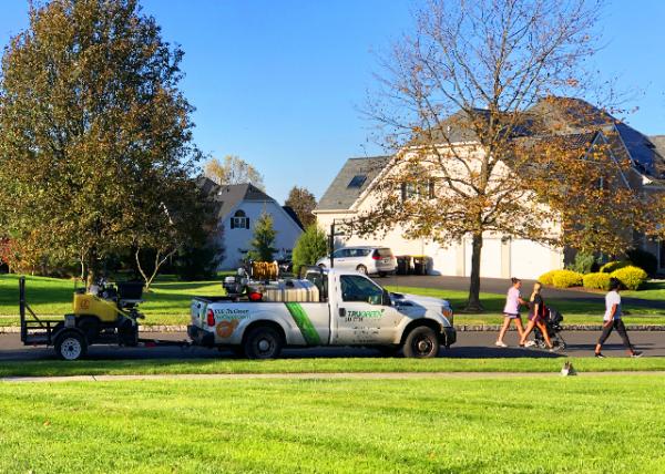 2020-11-27_Weed Control by TruGreen.jpg