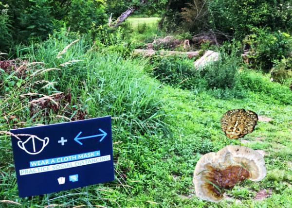 2020-07-19_Sign for Social Distance0001.JPG